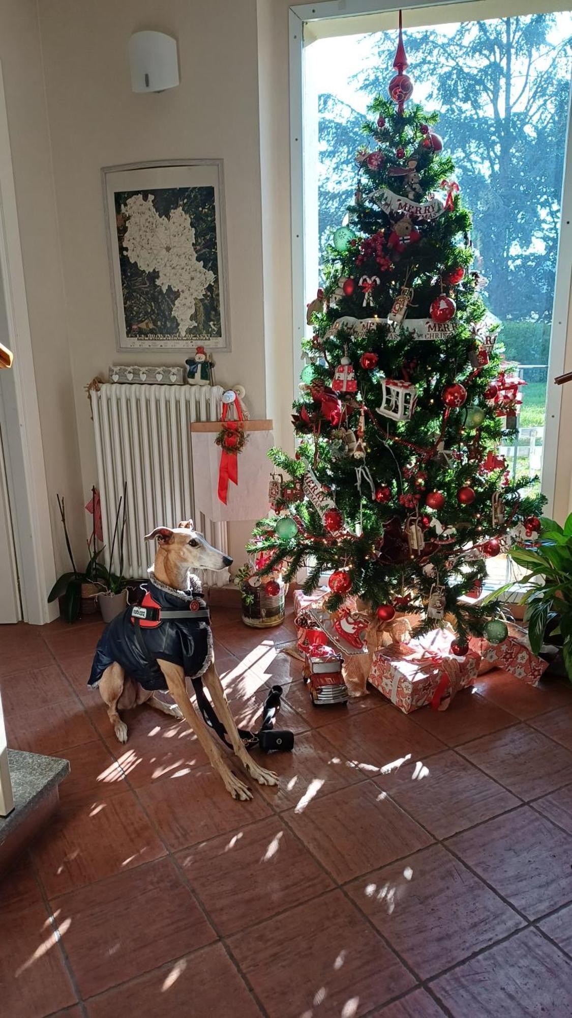 Tenuta Degli Angeli Rossi Asti Eksteriør bilde