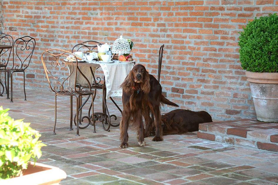 Tenuta Degli Angeli Rossi Asti Eksteriør bilde